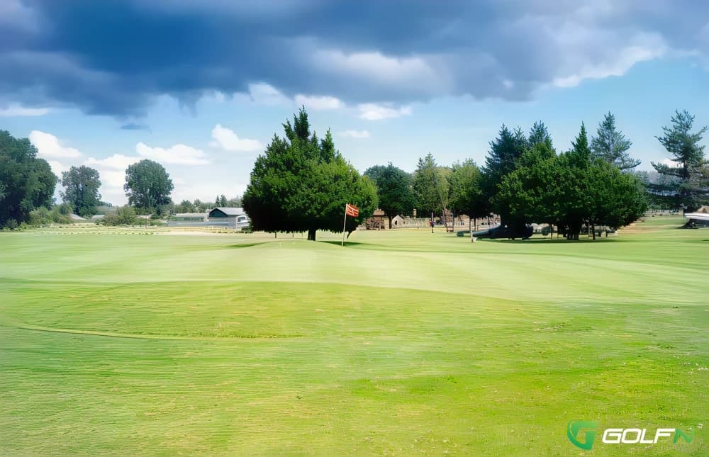 Tirau Golf Club in Tirau, Waikato β semi-private, 18-hole golf course
