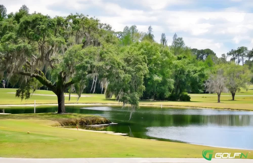 Claw At Usf in Tampa, Florida — public, 18-hole golf course, designed by William F. Mitchell