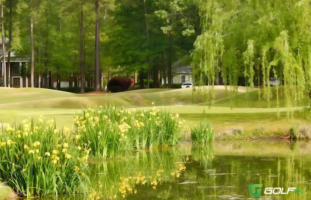 Coosaw Creek Country Club in North Charleston, South Carolina — semi-private, 18-hole golf course, designed by Arthur Hills (1992)