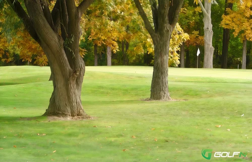 Springvale Golf Club in North Olmsted, Ohio — public, 18-hole golf course, designed by Barry Serafin (2011)