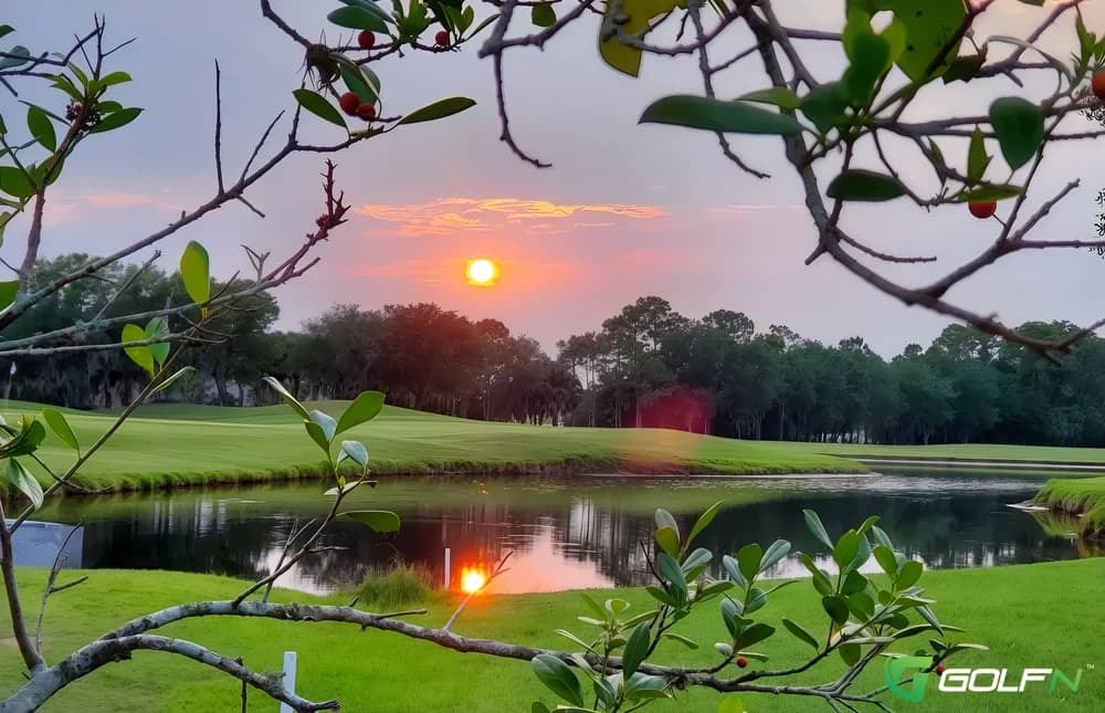 Marsh - Heron Creek Golf & Country Club in North Port, Florida — public, 27-hole golf course, designed by Arthur Hills (1999)