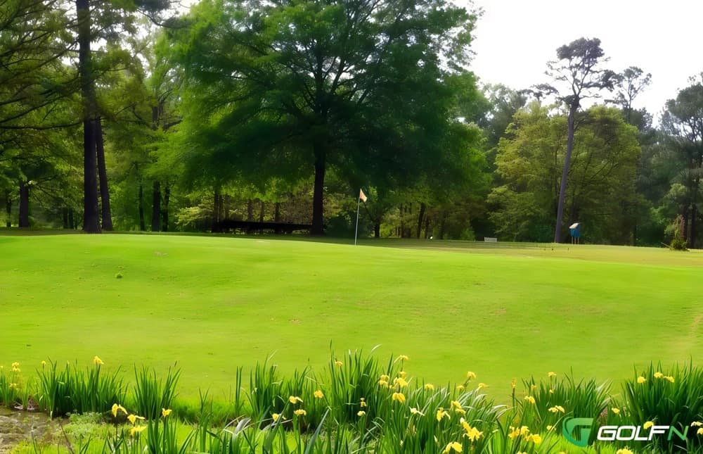 Cherokee Pines Golf Club in Centre, Alabama — semi-private, 18-hole golf course