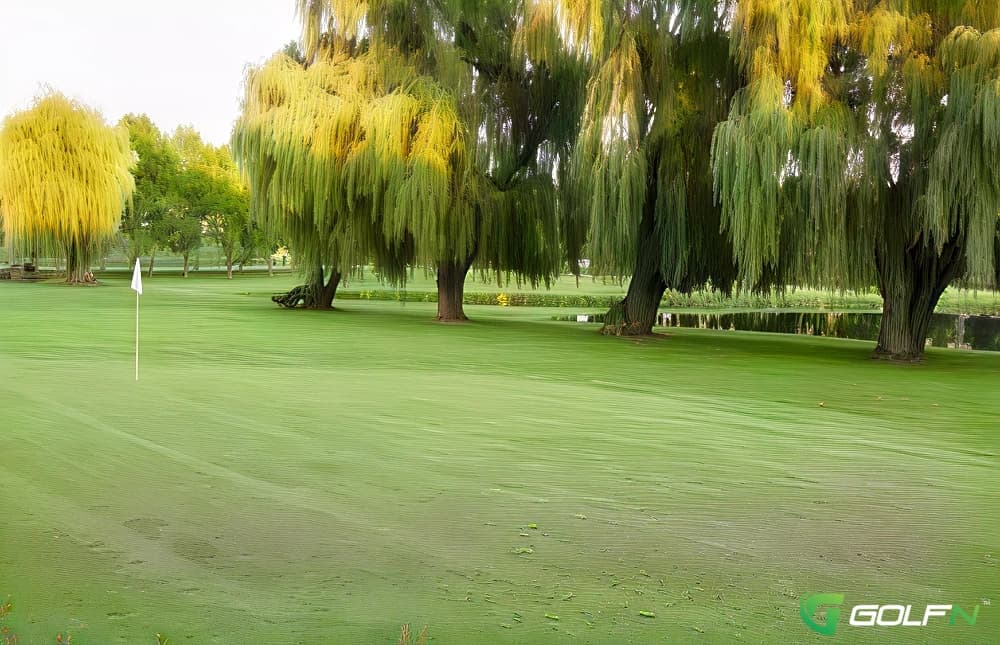 Mulligan Springs in Mogadore, Ohio — 9-hole golf course