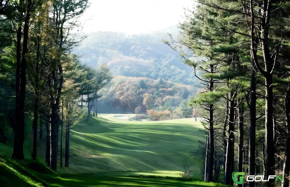 Birch Tree - Ananti Chord Golf Club in Gyeonggi-do, Gyeonggido β semi-private, 27-hole golf course, designed by IMG Worldwide (2010)
