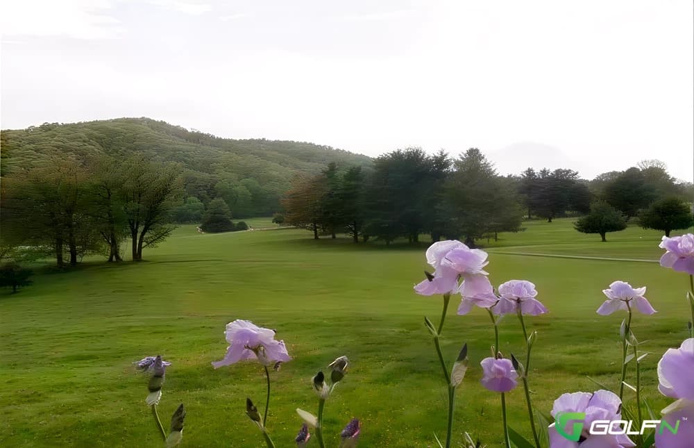 Steele Creek Golf Course in Bristol, Tennessee — public, 9-hole golf course