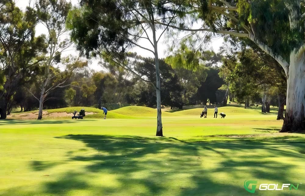 Murray Bridge Golf Club in Murray Bridge, South Australia β public, 18-hole golf course