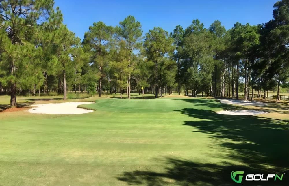 Blueberry Plantation Country Club in Alma, Georgia — semi-private, 18-hole golf course, designed by Williams & Jensen