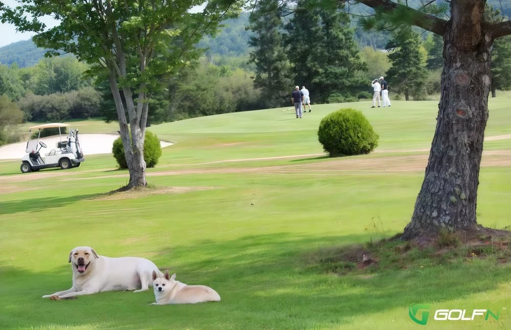 Bucksport Golf Club in Bucksport, Maine — public, 9-hole golf course, designed by Phil Wogan