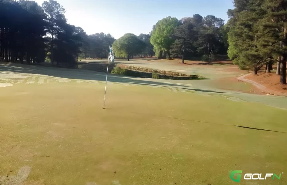Pinehill Golf Club in Anniston, Alabama — semi-private, 18-hole golf course, designed by Conditions 
 Good 




 Value 
 Excellent 




 Layout 
 Good 




 Friendliness 
 Excellent 




 Pace 
 Excellent 




 Amenities 
 Excellent