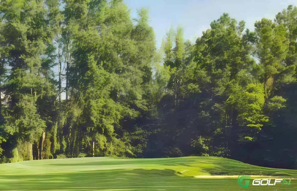 Tall Pines Golf Club in Tuscaloosa, Alabama — public, 18-hole golf course