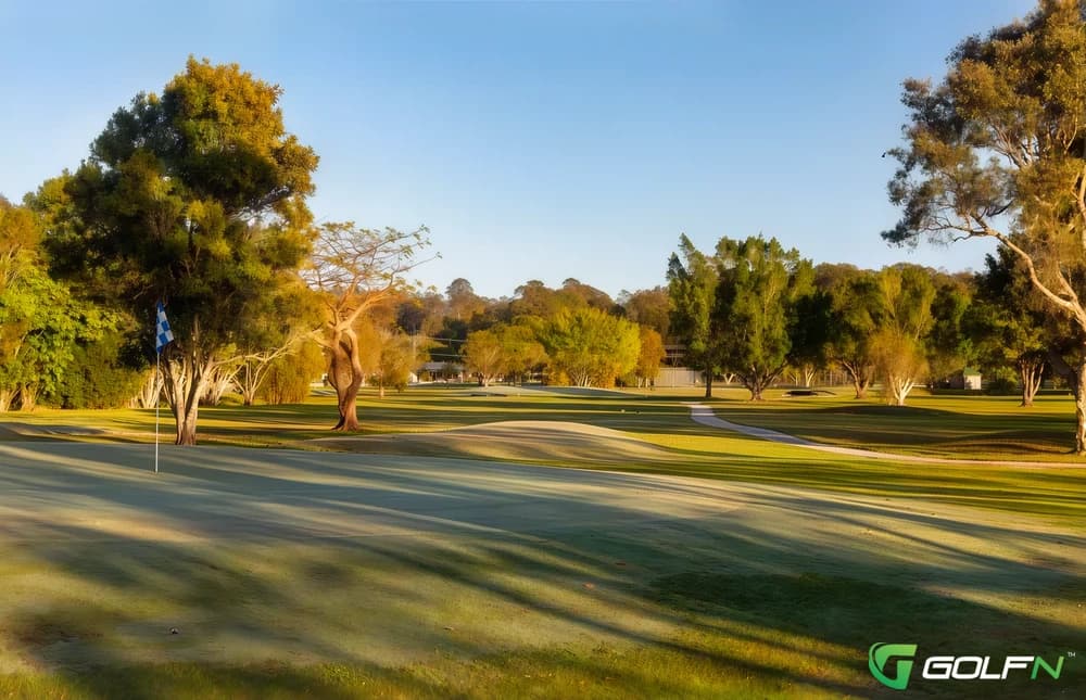 Meadow Park Golf Course in Tallebudgera, Queensland β public, 9-hole golf course