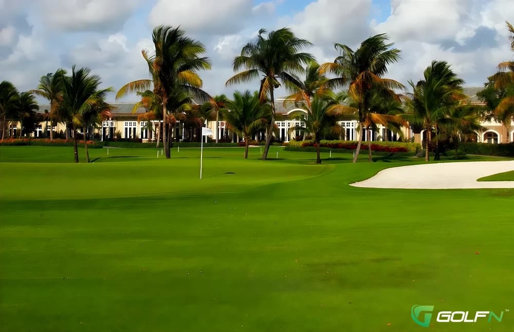 Woods - Delaire Country Club in Delray Beach, Florida — private, 27-hole golf course, designed by Joe Lee (1979)