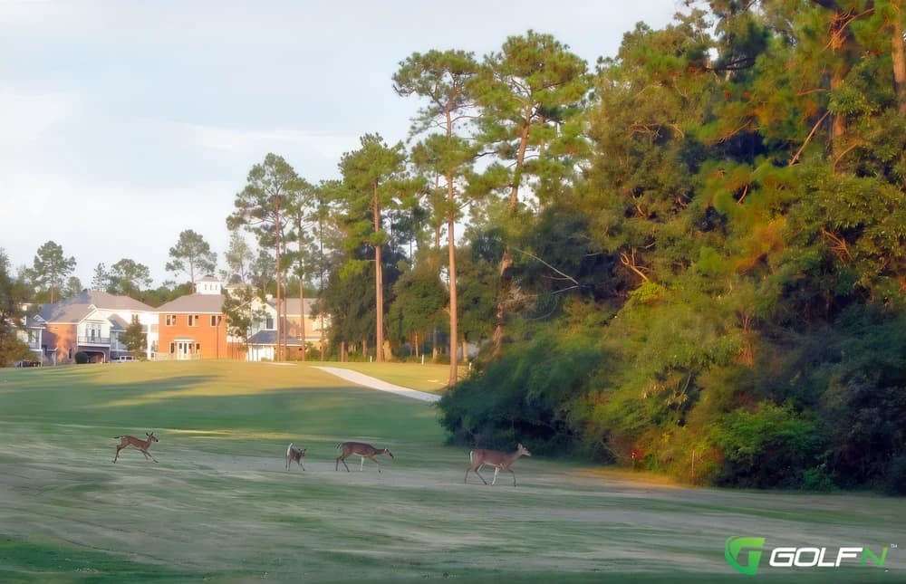 Cardinal - Diamondhead Country Club in Diamondhead, Mississippi — semi-private, 36-hole golf course, designed by Earl Stone