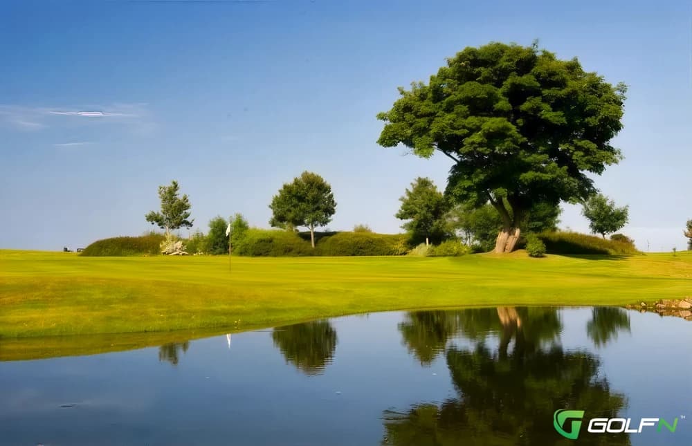 Charlesland Golf Club in greystones, Wicklow — public, 18-hole golf course, designed by Eddie Hackett (1992)