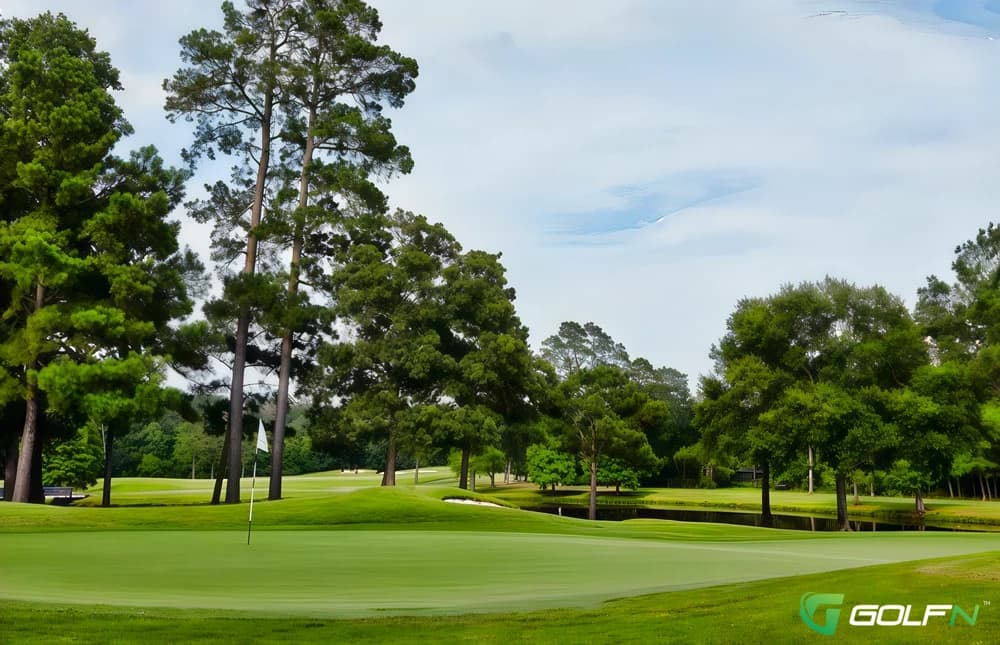 Palmer Course - King - The Woodlands Country Club in The Woodlands, Texas — private, 27-hole golf course, designed by Arnold Palmer (1990)