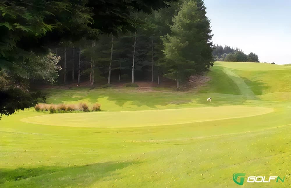 Berhampore Golf Course (Mornington Golf Club) in Wellington, Wellington — public, 18-hole golf course