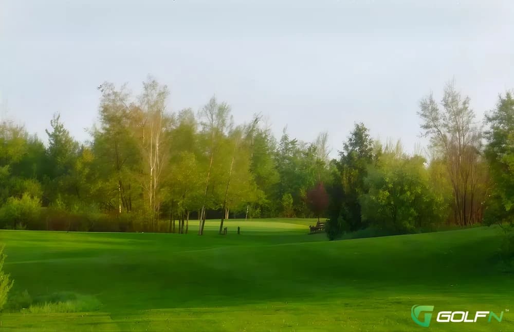 Lynbrook Family Golf Centre in Amaranth, Ontario — 9-hole golf course