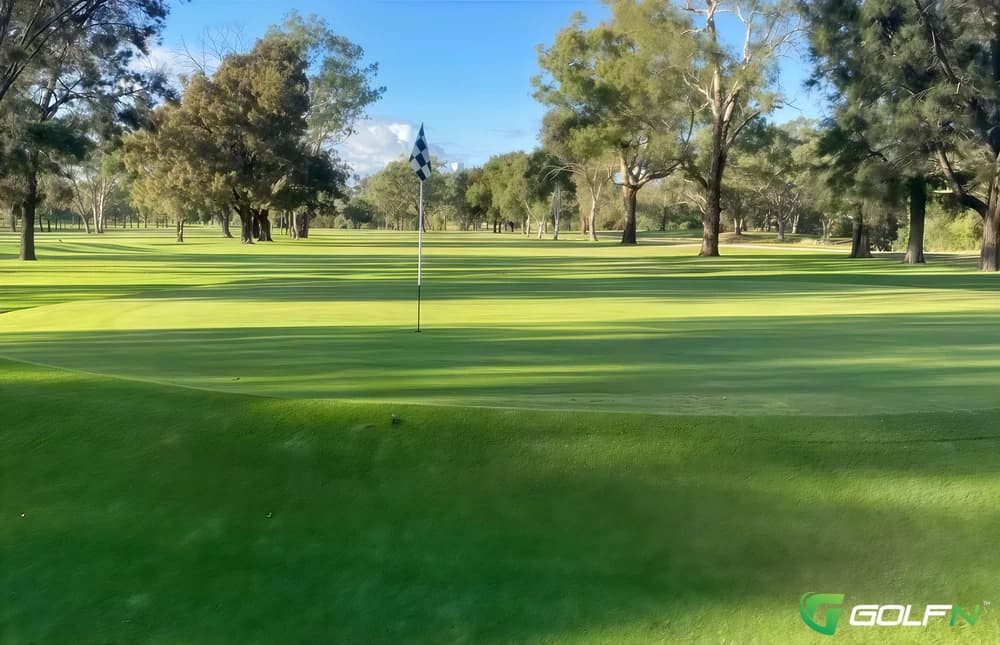 Muswellbrook Golf Club in Muswellbrook, New South Wales — public, 18-hole golf course, designed by James Wilcher