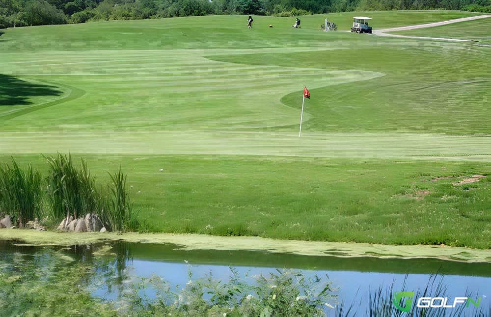Wheatfield Valley Golf Club in Williamston, Michigan — public, 18-hole golf course, designed by George Duke
