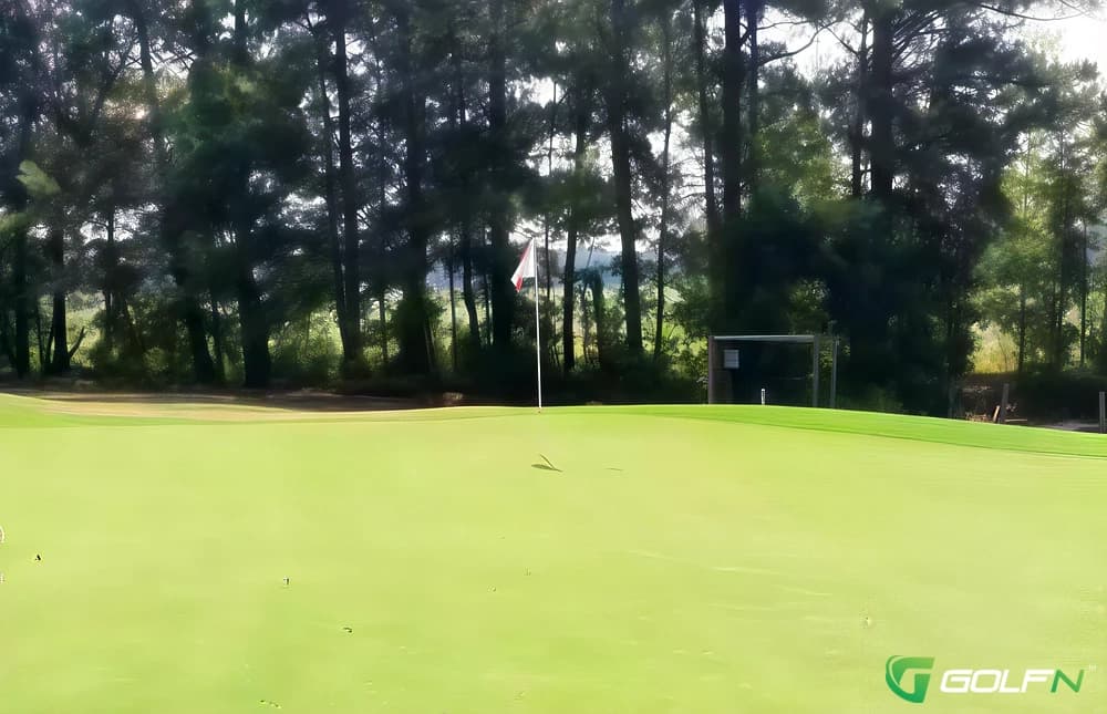 Saint George Country Club in Saint George, South Carolina — public, 9-hole golf course