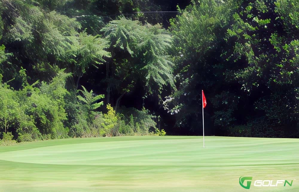 Collins Park Golf Course in Toledo, Ohio — public, 9-hole golf course, designed by A view of a green at Collins Park Golf Course

 




              1 Image 
            







Write Review










             624 Reineck Dr, Toledo, Ohio 43605, Lucas County 
           


            (419) 693-1991 
          

Course Website
