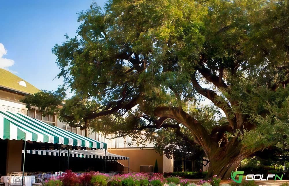New Orleans Country Club in New Orleans, Louisiana — private, 18-hole golf course, designed by George Turpie (1914)