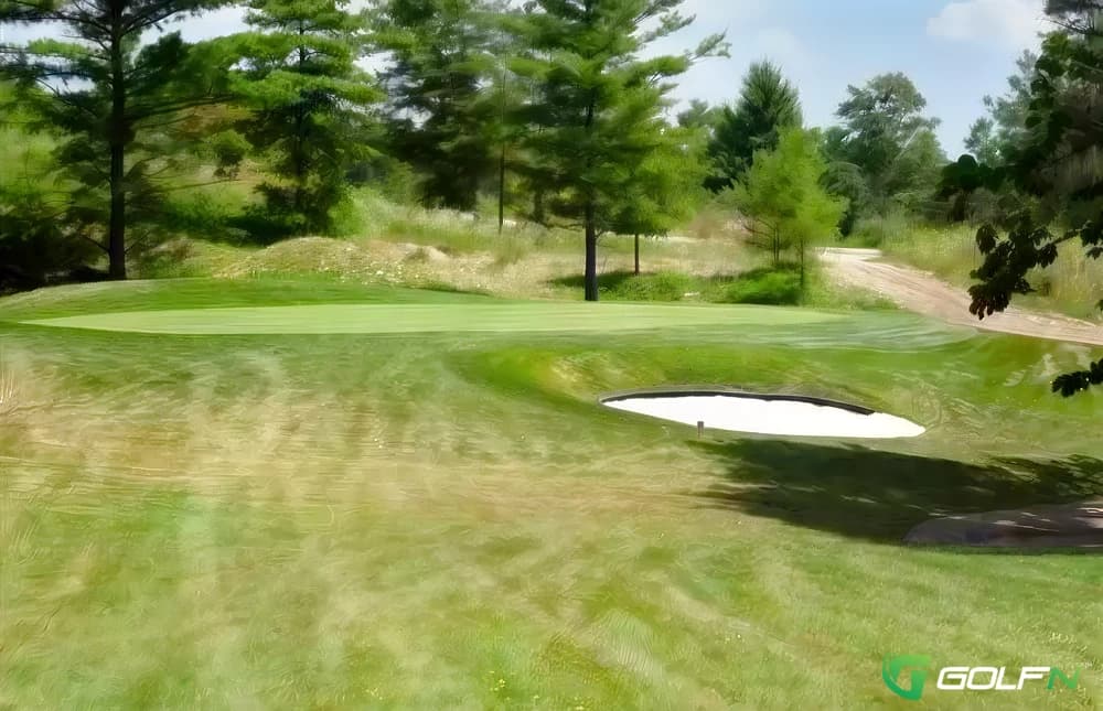 Pines - Victoria Park Valley Golf Club in Puslinch, Ontario — public, 9-hole golf course