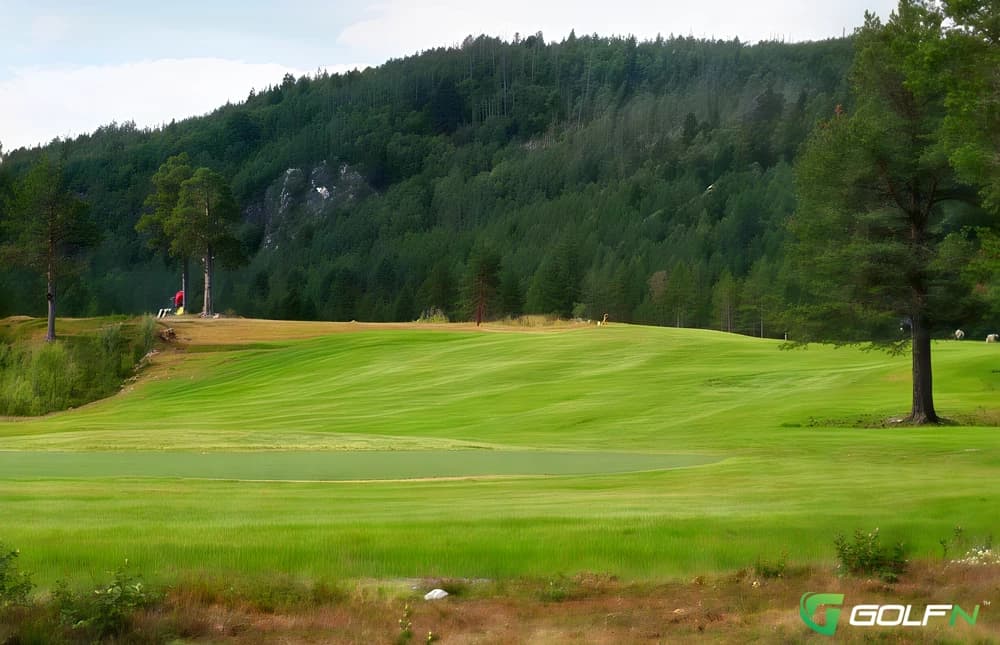 Williamson - Whangamata Golf Club in Whangamata, Bay of Plenty — public, 9-hole golf course
