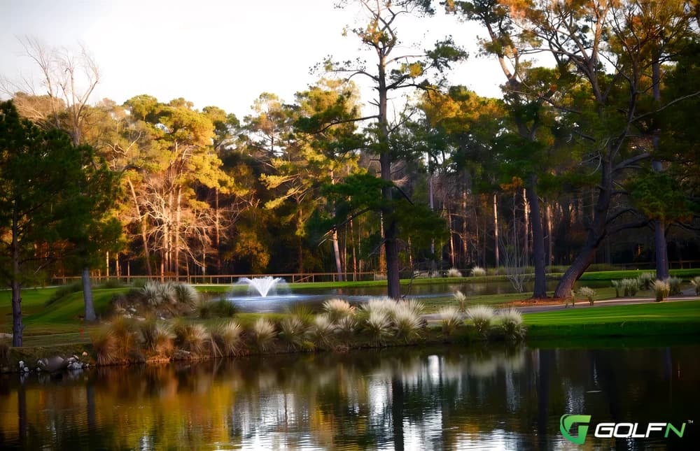 Eagle Nest Golf Club in Little River, South Carolina — public, 18-hole golf course, designed by Super senior and player-friendly tee boxes up front have also been installed. This traditional low country layout features not only rolling undulations in it but mature Carolina pines, an abundance of wildlife and beautiful natural landscaping.