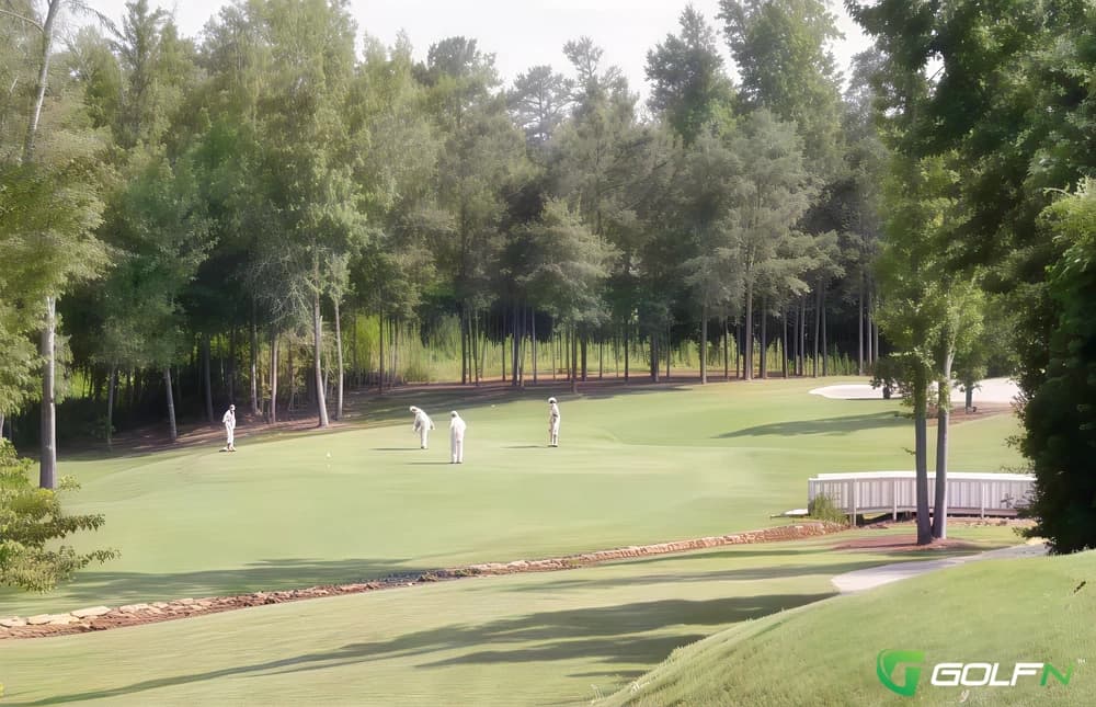 Magnolia Meadows in Columbiana, Alabama — public, 18-hole golf course