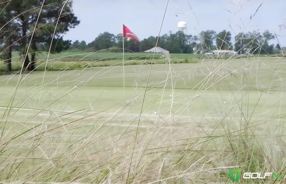 The Links At Cotton Valley in Tarboro, North Carolina — semi-private, 18-hole golf course, designed by Tom Johnson (2000)