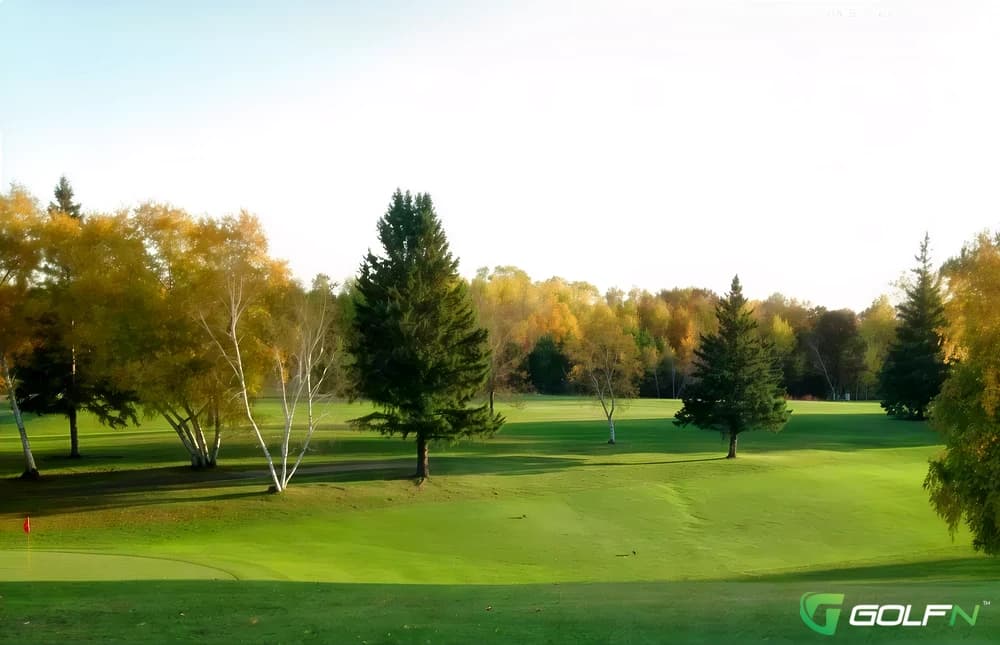 Social Nine - Maddens On Gull Lake in Brainerd, Minnesota — resort, 36-hole golf course, designed by Paul N. Coates