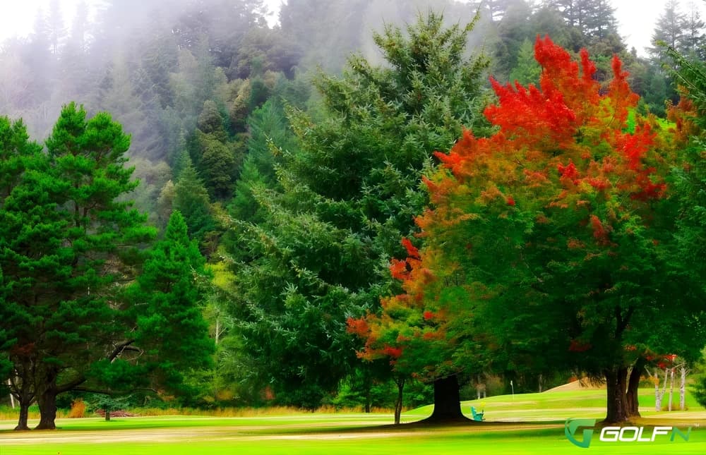Cedar Bend Golf Club in Gold Beach, Oregon — public, 18-hole golf course, designed by John Zoller (1971)
