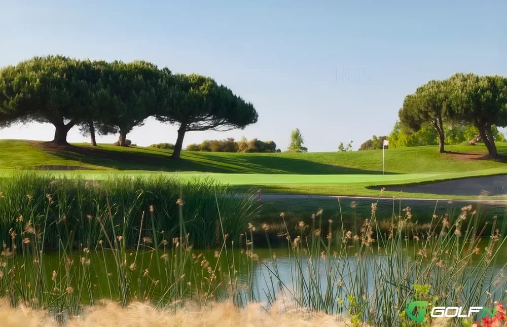 Shoreline Golf Links At Mountain View in Mountain View, California — public, 18-hole golf course, designed by Robert Trent Jones, Jr. (1983)