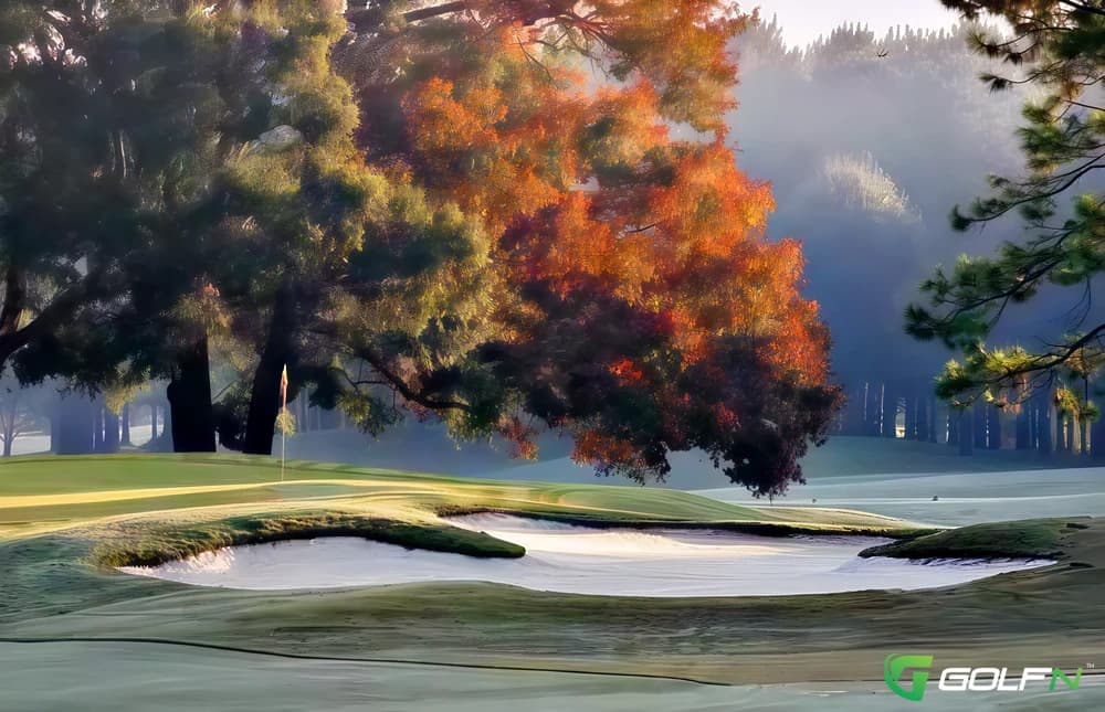 Highlands - Rtj Golf Trail At Highland Oaks in Dothan, Alabama — public, 36-hole golf course, designed by Robert Trent Jones, Sr. (1993)