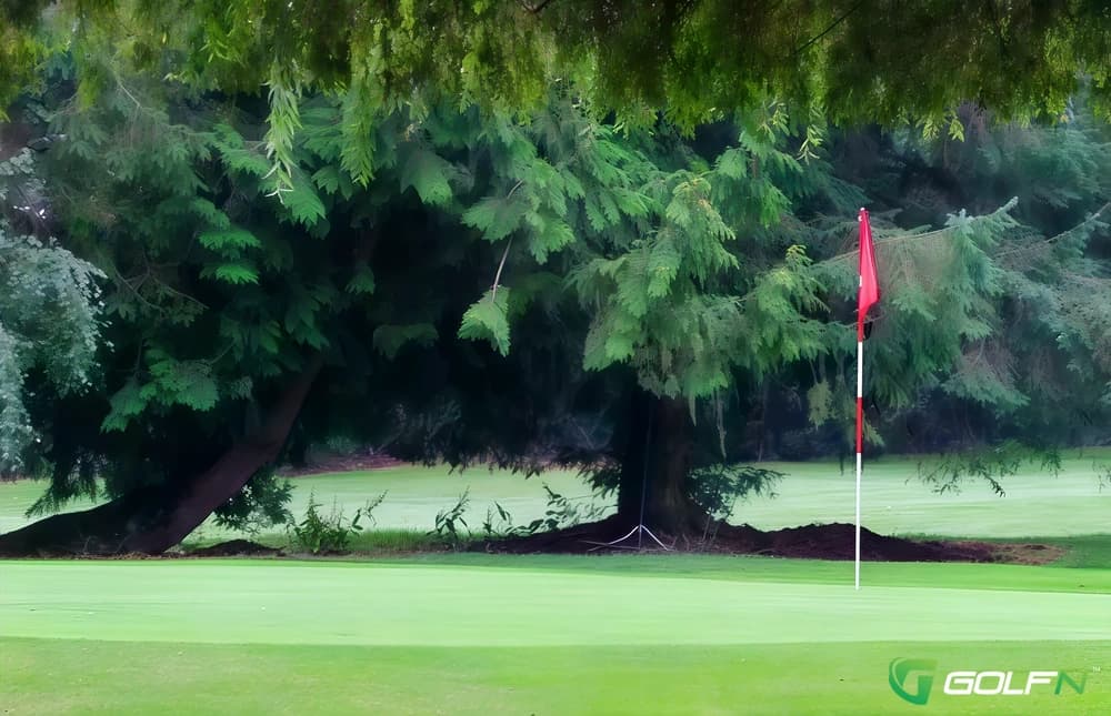 Sunshine Woods Golf Centre in Delta, British Columbia — public, 18-hole golf course