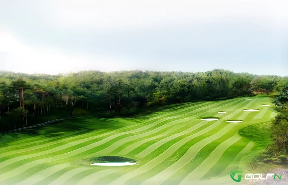 Forest - Alpensia Country Club in Pyeongchang-gun, Gang'weondo β resort, 27-hole golf course, designed by Robert Trent Jones, Jr. (2010)