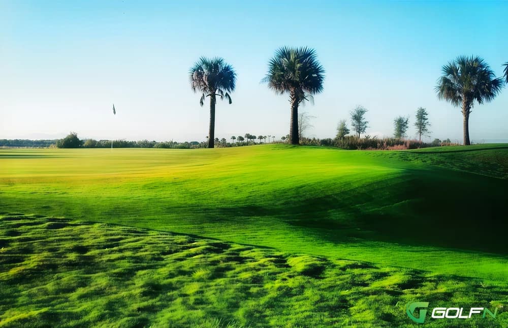 Hawk - Osprey Point Golf Course in Boca Raton, Florida — public, 9-hole golf course, designed by Jeff Grossman (2010)