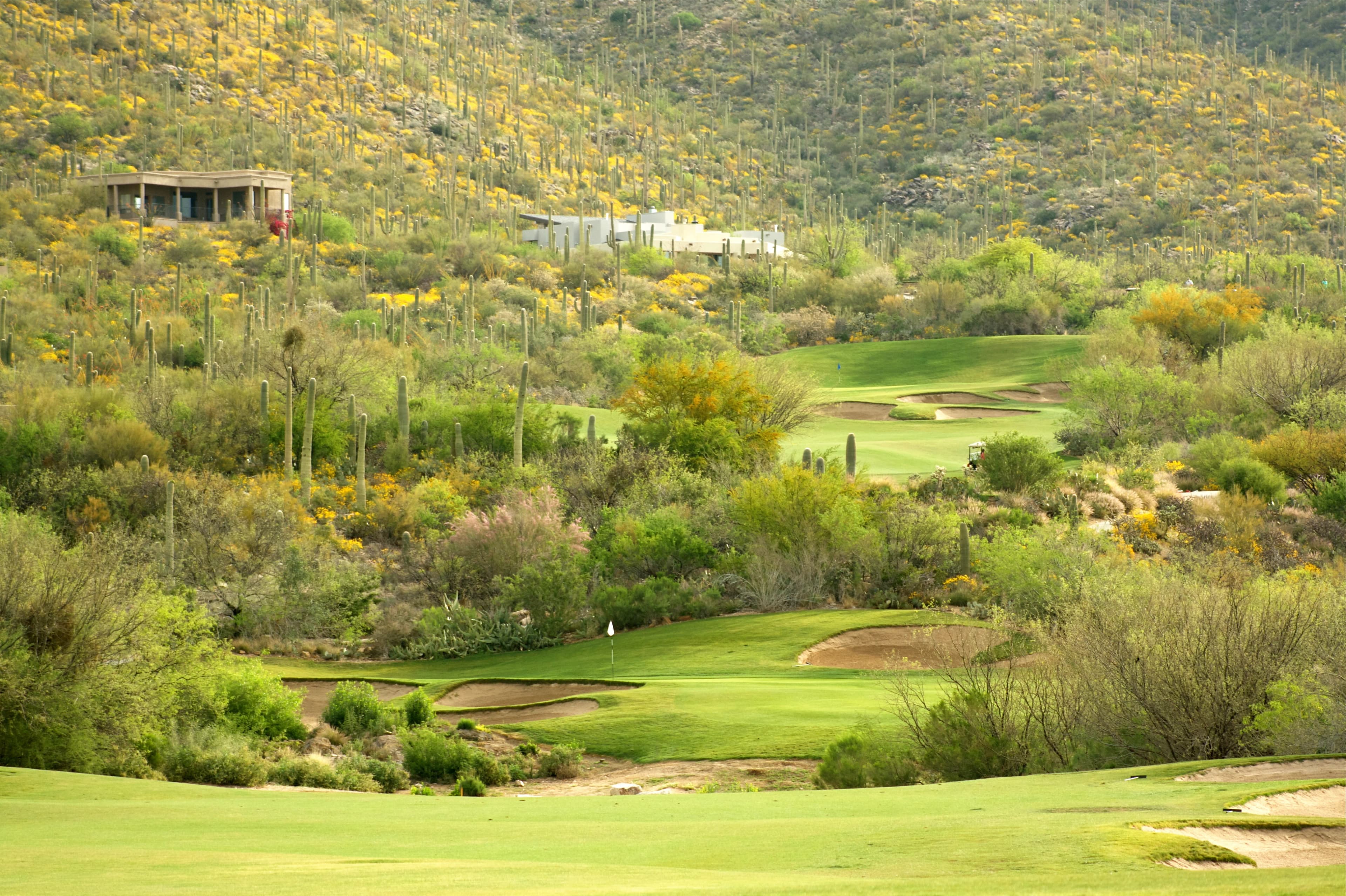 Arizona National Golf Club in Tucson, Arizona — semi-private, 18-hole golf course