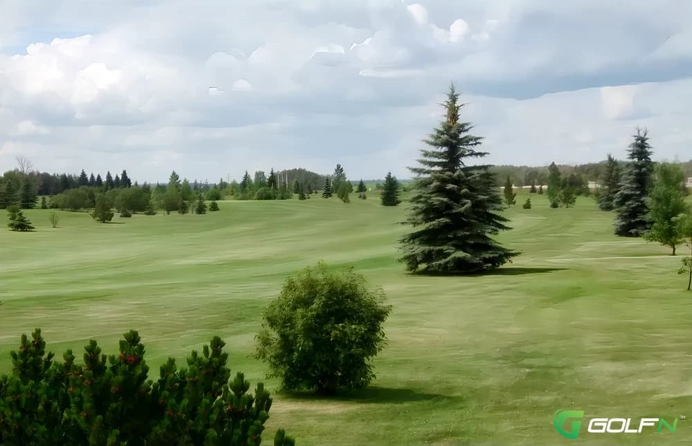 Highfield Golf And Country Club in Carbury, Kildare โ private, 18-hole golf course
