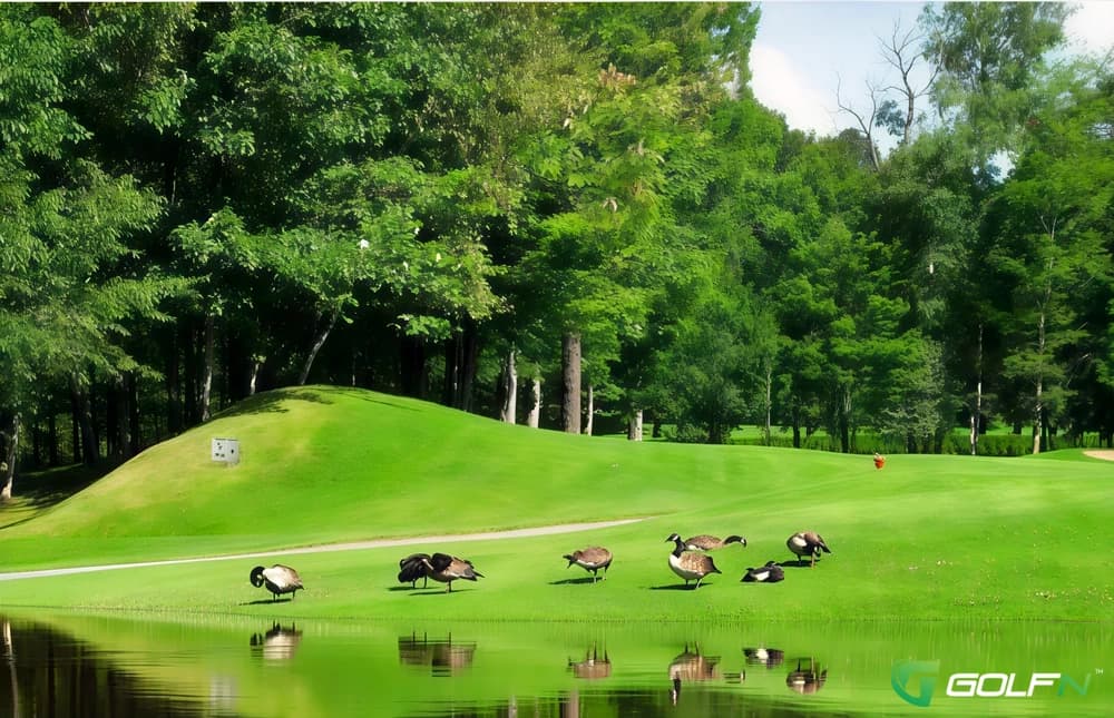 B - Plessisville Club De Golf in Plessisville, Quebec — public, 27-hole golf course