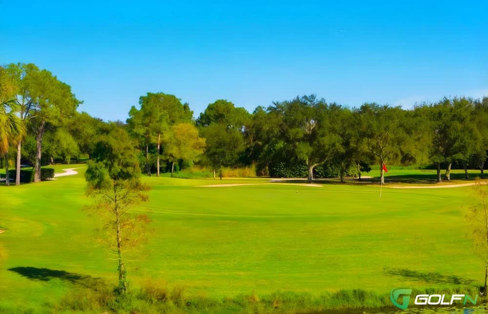 Mangrove Bay Golf Course in St. Petersburg, Florida — public, 18-hole golf course, designed by Bill Amick