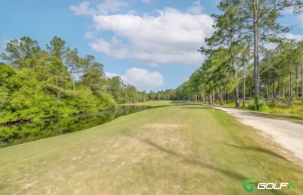 Black Creek Golf Club in Ellabell, Georgia — semi-private, 18-hole golf course, designed by Jim Bivins