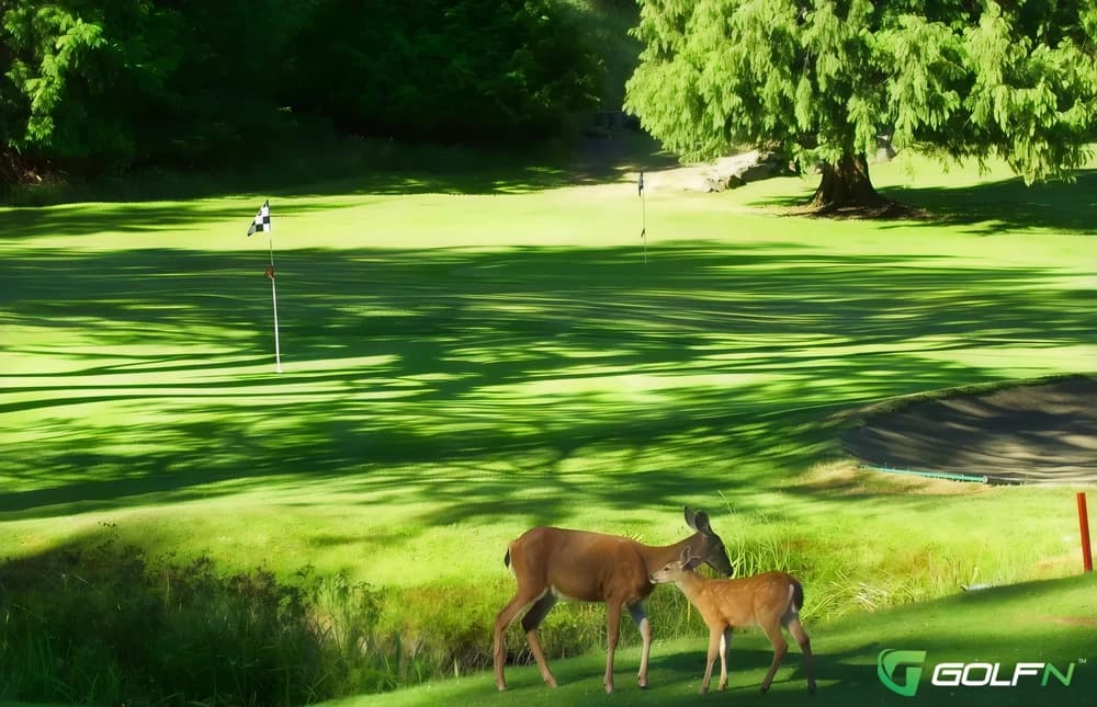 Galiano Golf & Country Club in Galiano, British Columbia — public, 9-hole golf course