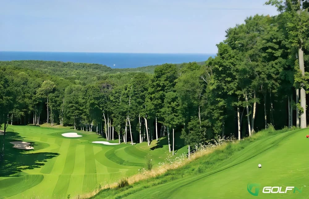Woods - Birchwood Farms Golf & Country Club in Harbor Springs, Michigan — private, 27-hole golf course, designed by Bruce Matthews