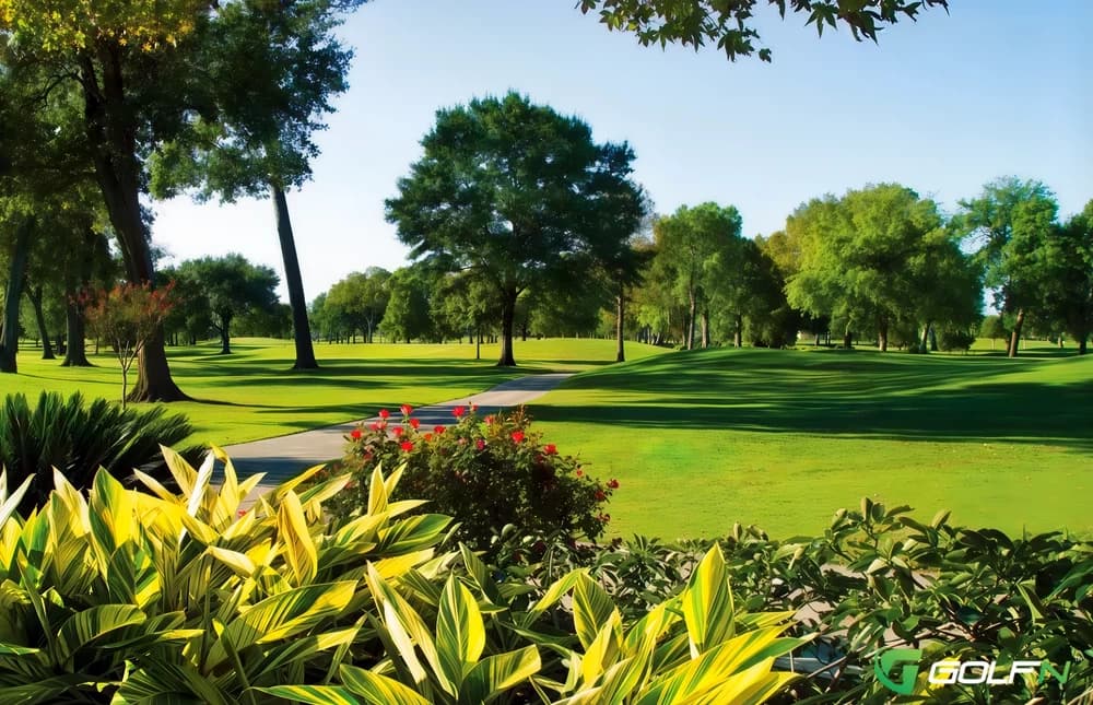 Green - Pine Forest Country Club in Houston, Texas — private, 27-hole golf course, designed by Jay Riviere (1975)