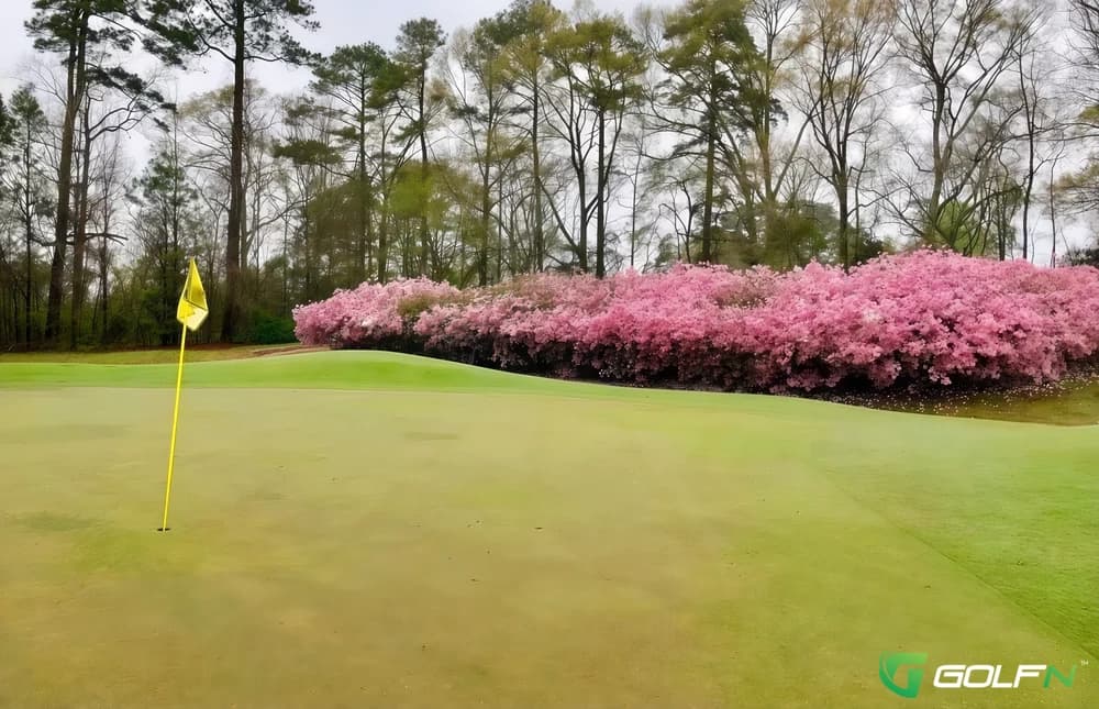Duncan Park Golf Club in Natchez, Mississippi — public, 18-hole golf course, designed by Brian Ault (1993)