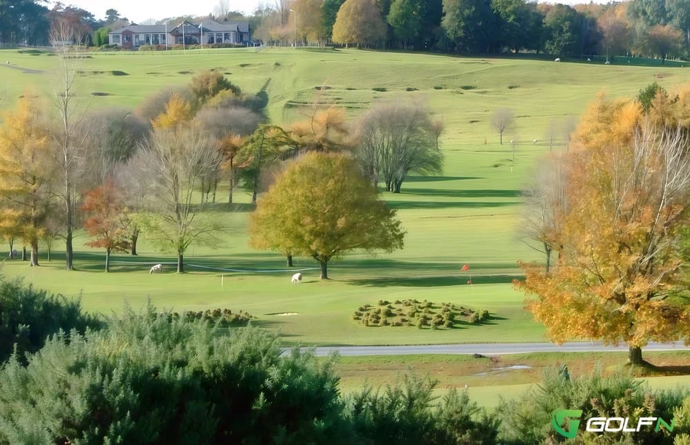 Royal Curragh Golf Club in Curragh, Kildare โ semi-private, 18-hole golf course, designed by Patrick Merrigan (2007)