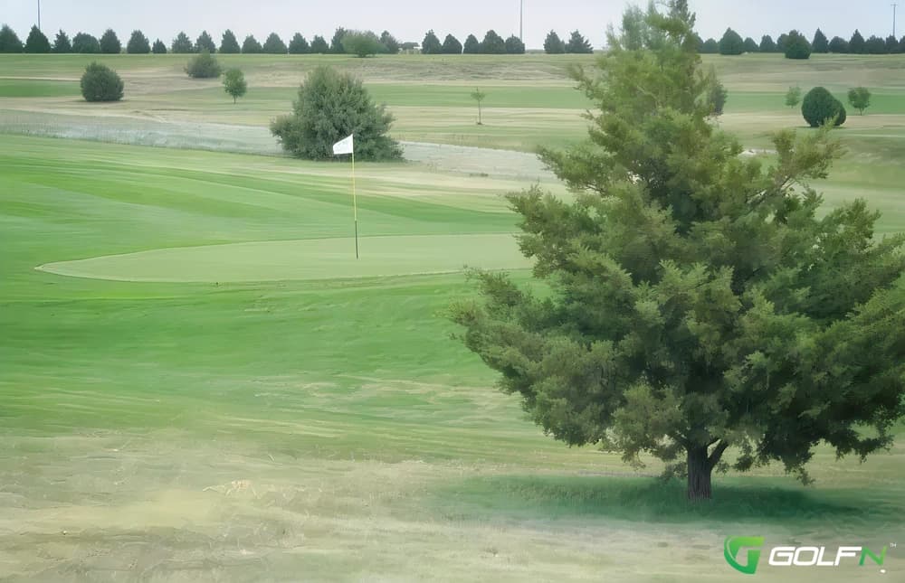 Brier Patch Golf Course in Beckley, West Virginia — semi-private, 18-hole golf course