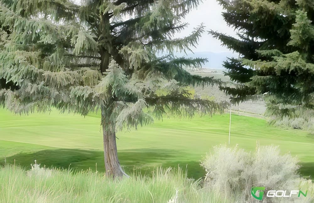 Spring Creek Golf Course in Spring Creek, Nevada — semi-private, 18-hole golf course